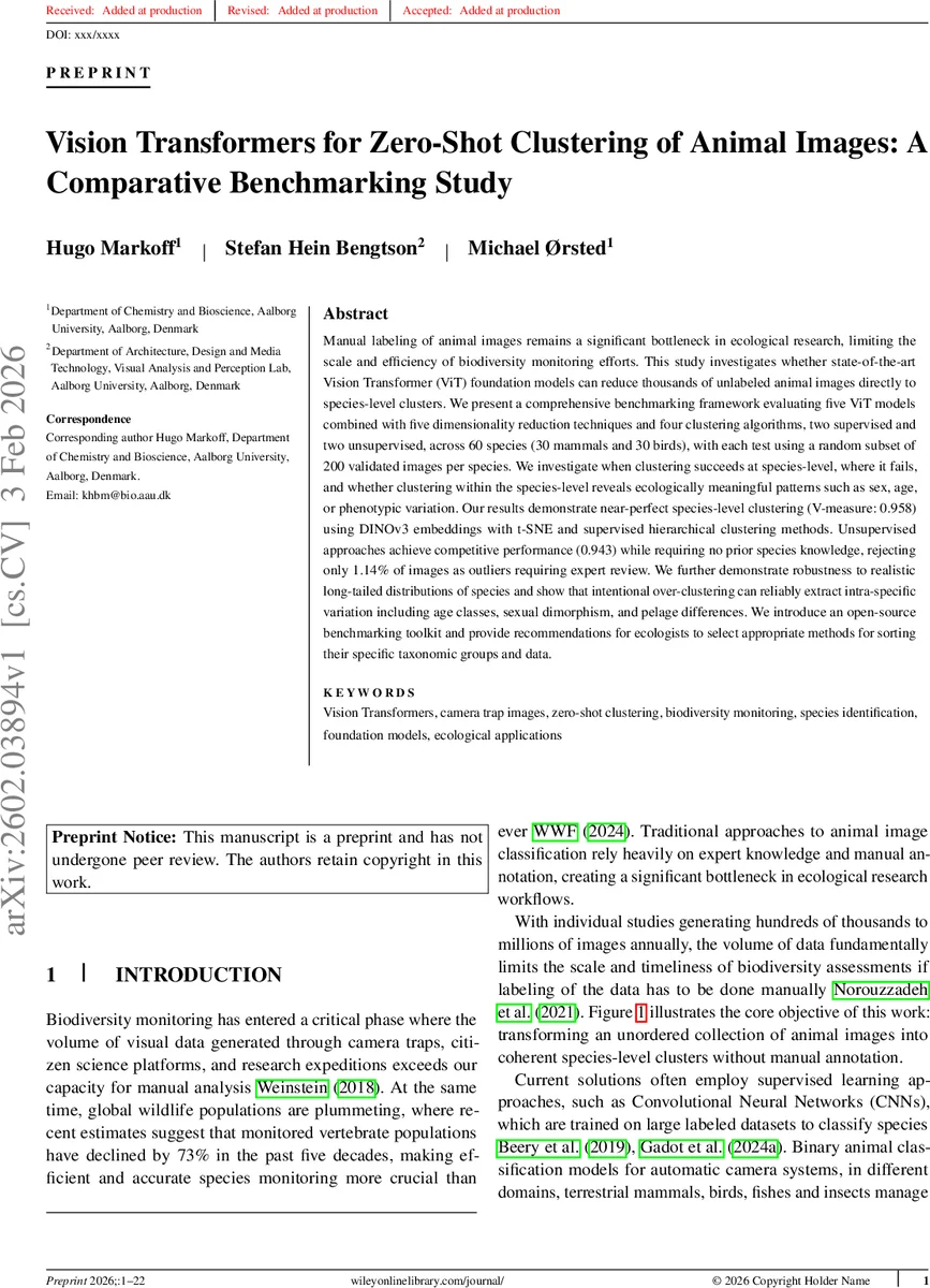 Counting the Wait: Effects of Temporal Feedback on Downstream Task Performance and Perceived Wait-Time Experience during System-Imposed Delays