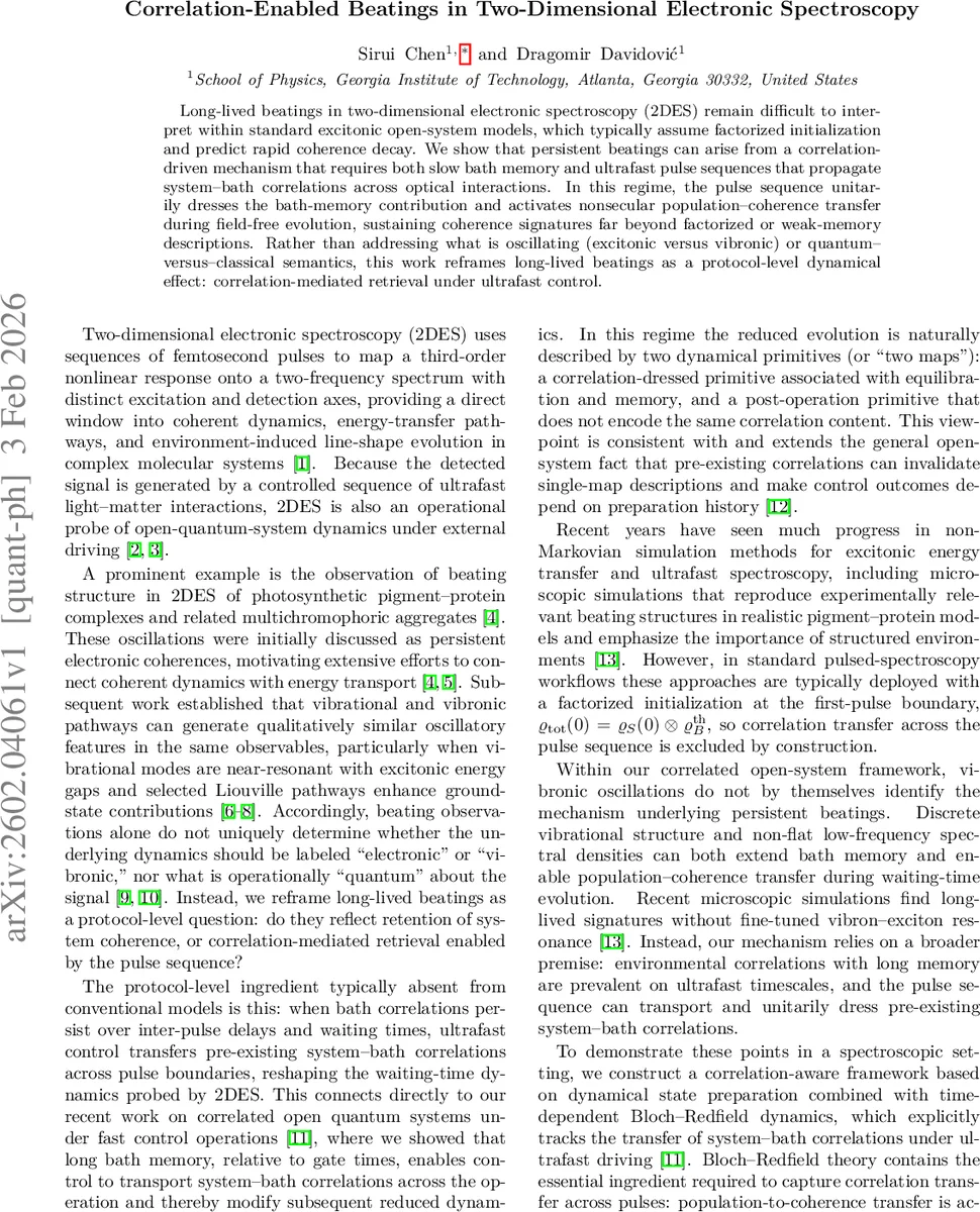 Correlation-Enabled Beatings in Two-Dimensional Electronic Spectroscopy