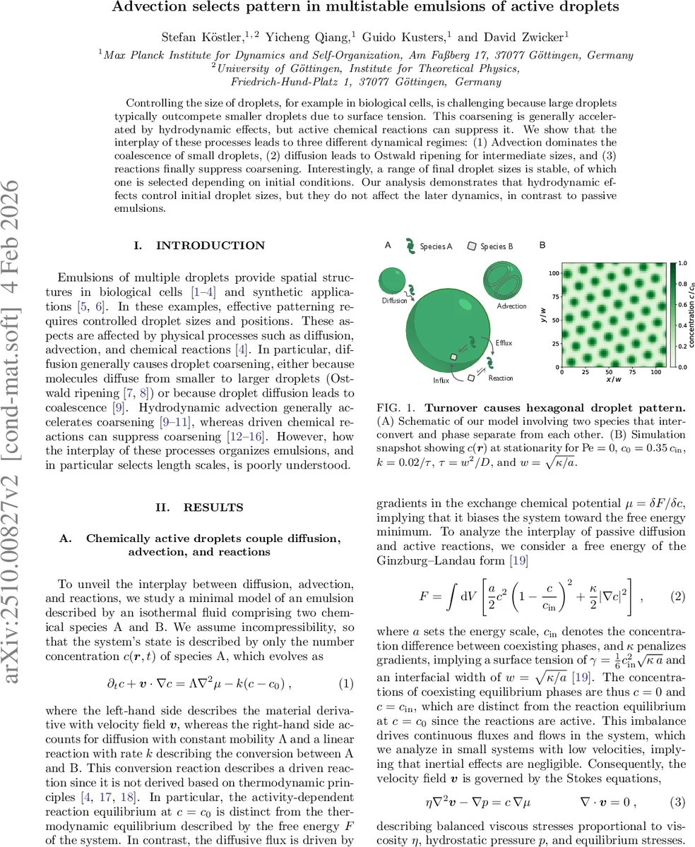 Modelling the Morphology of Verbal Paradigms: A Case Study in the Tokenization of Turkish and Hebrew