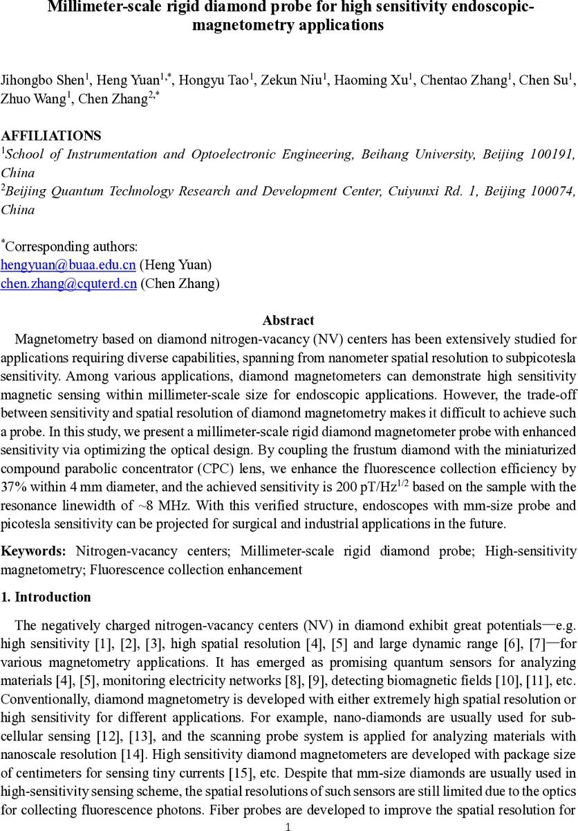 Millimeter-scale rigid diamond probe for high sensitivity endoscopic-magnetometry applications