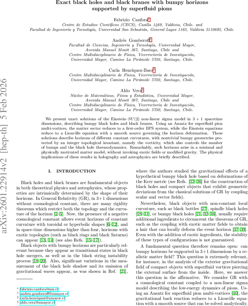 Exact black holes and black branes with bumpy horizons supported by superfluid pions