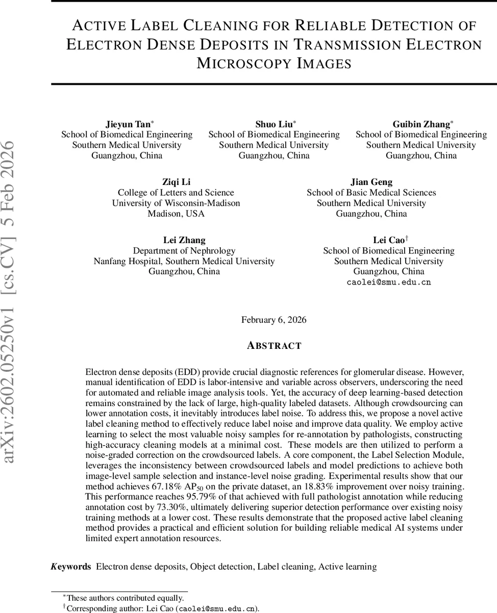 Dynamical thermalization, Rayleigh-Jeans condensate, vortexes and wave collapse in quantum chaos fibers and fluid of light