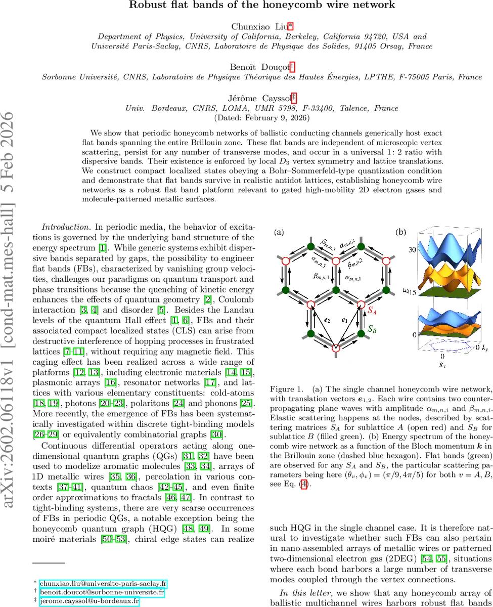 Robust flat bands of the honeycomb wire network