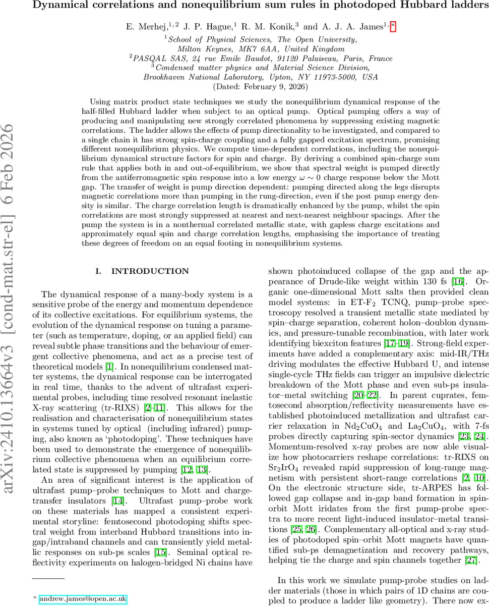 Dynamical correlations and nonequilibrium sum rules in photodoped Hubbard ladders