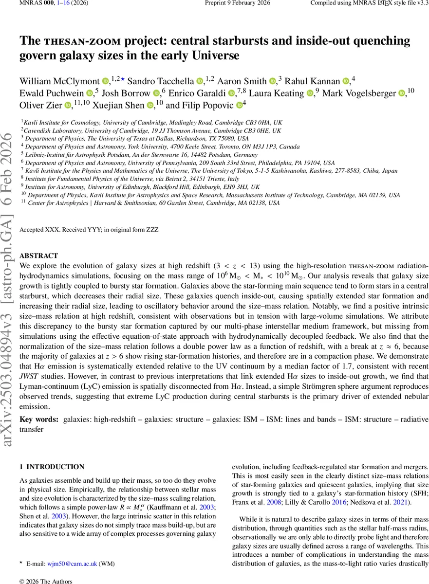 The THESAN-ZOOM project: central starbursts and inside-out quenching govern galaxy sizes in the early Universe