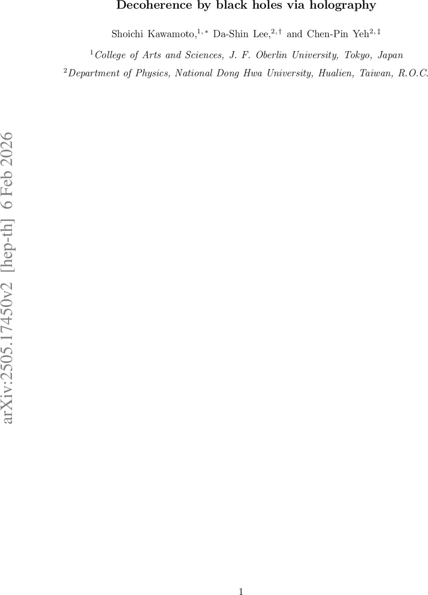 Decoherence by black holes via holography