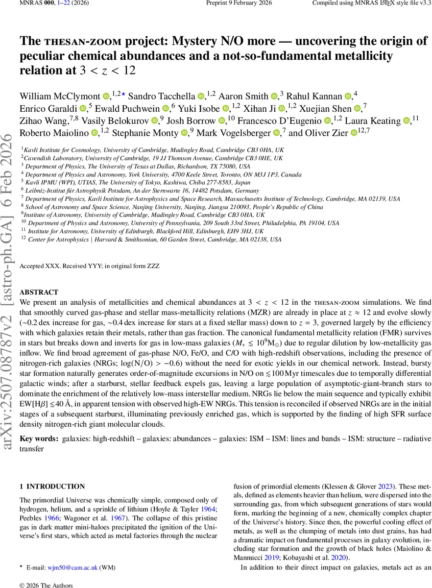 The THESAN-ZOOM project: Mystery N/O more -- uncovering the origin of peculiar chemical abundances and a not-so-fundamental metallicity relation at $3<z<12$