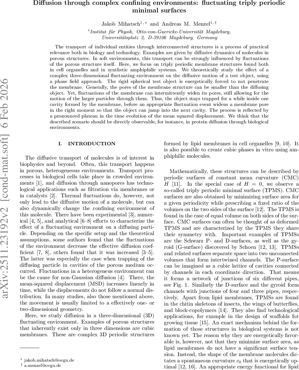 Diffusion through complex confining environments: fluctuating triply periodic minimal surfaces