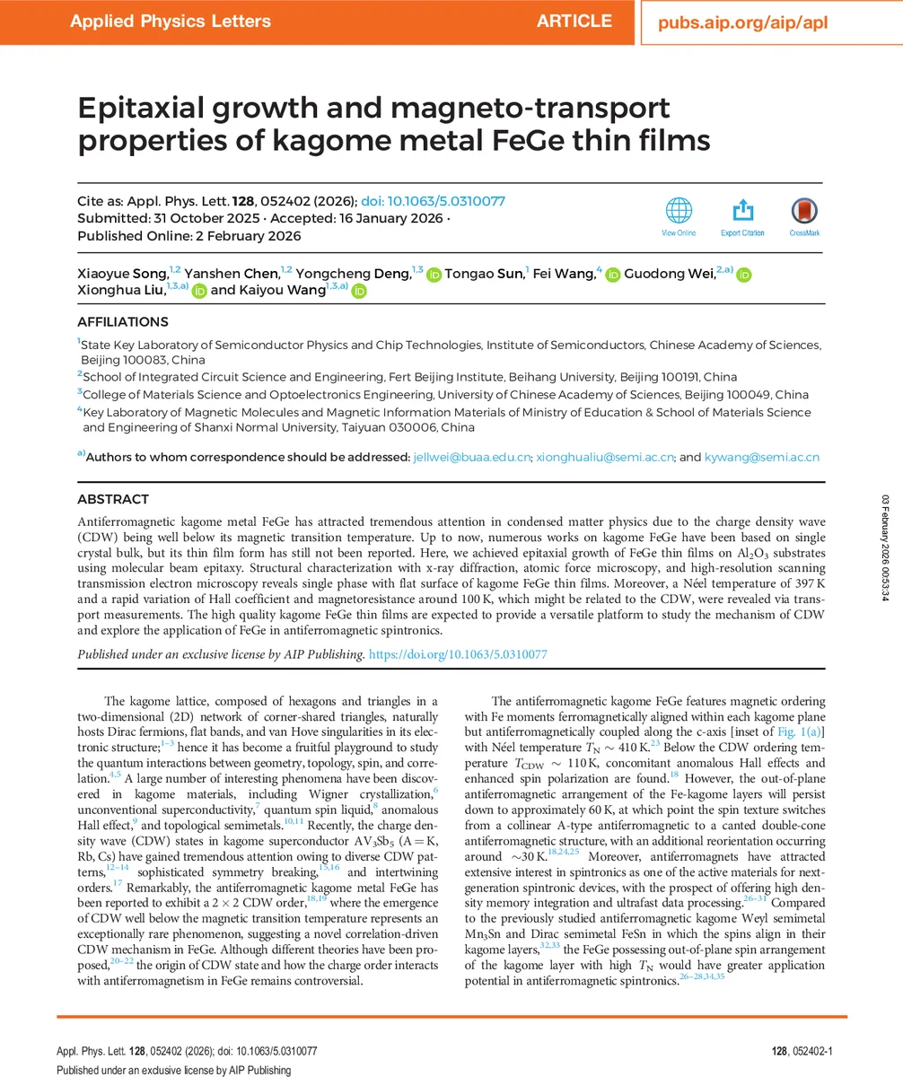 A multiwavelength study of the Galactic center black hole candidate MAXI J1744-294