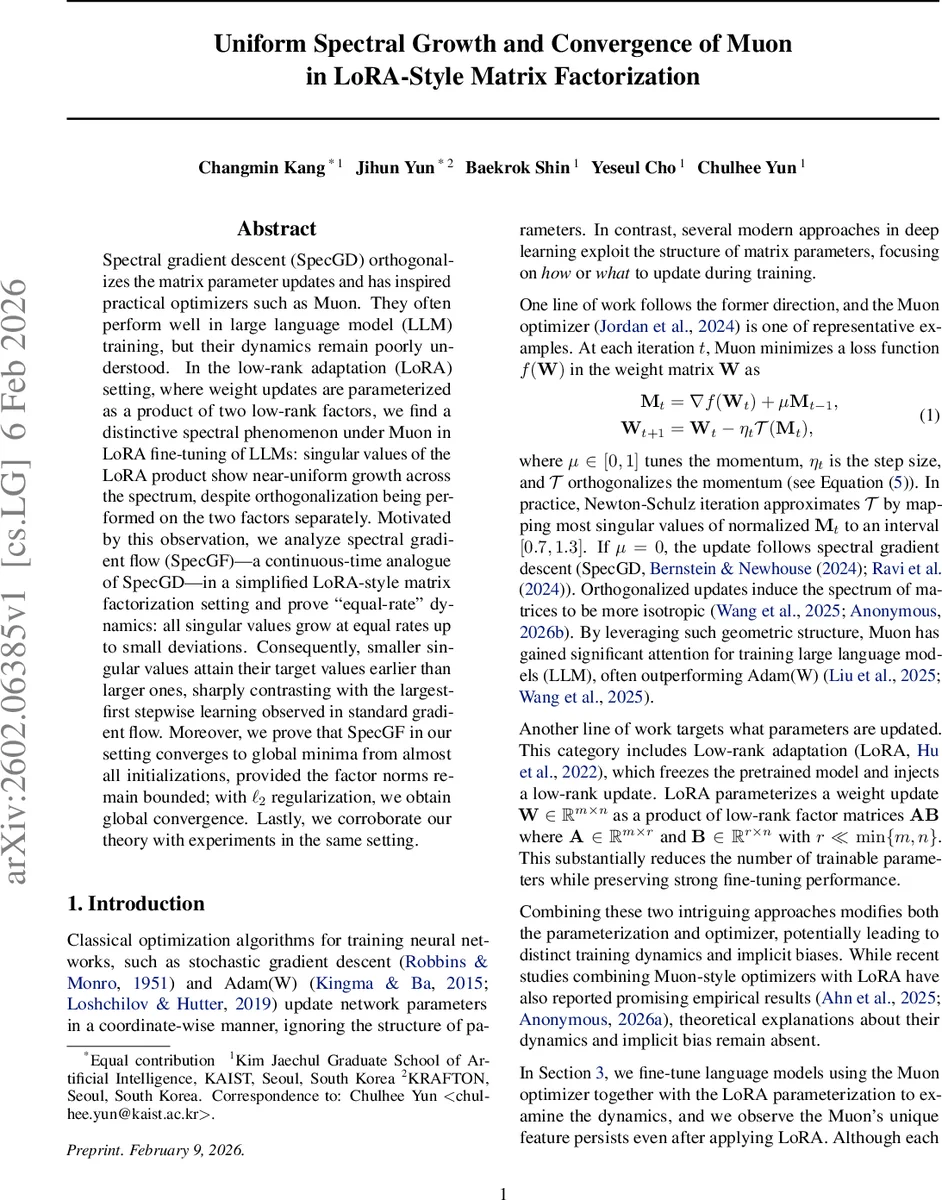 Uniform Spectral Growth and Convergence of Muon in LoRA-Style Matrix Factorization