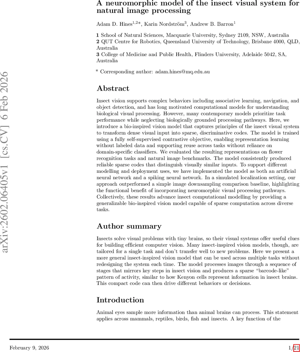 A neuromorphic model of the insect visual system for natural image processing