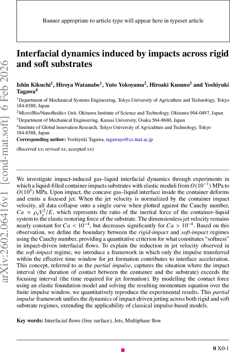 Interfacial dynamics induced by impacts across rigid and soft substrates