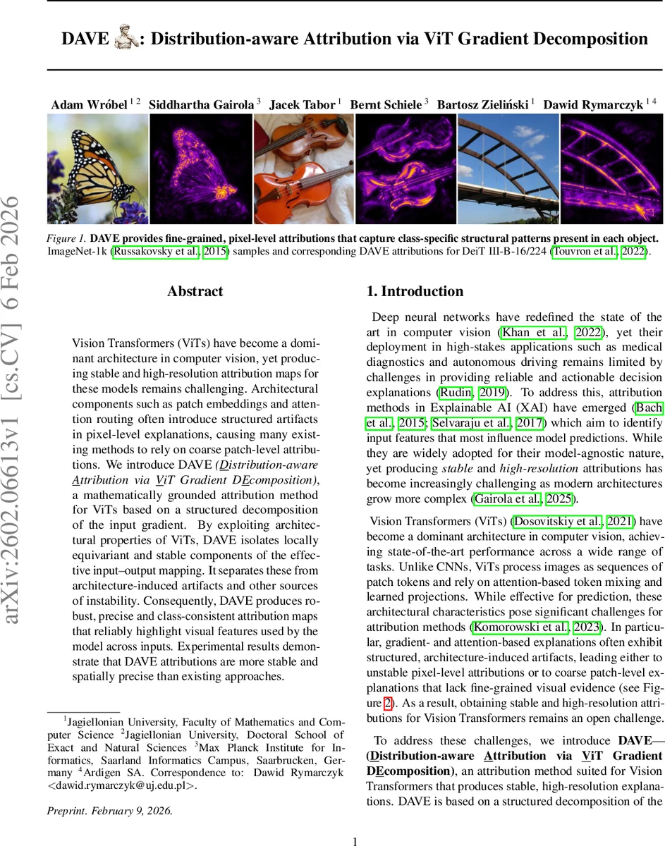 DAVE: Distribution-aware Attribution via ViT Gradient Decomposition