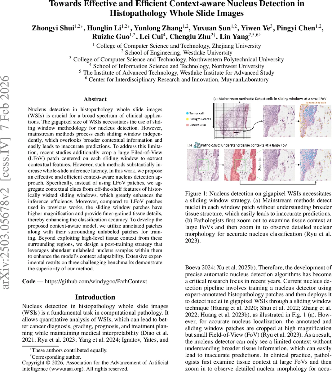 Towards Effective and Efficient Context-aware Nucleus Detection in Histopathology Whole Slide Images