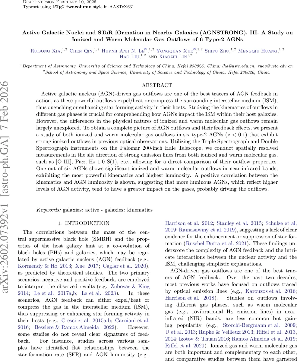 Bayesian Shrinkage in High-Dimensional VAR Models: A Comparative Study