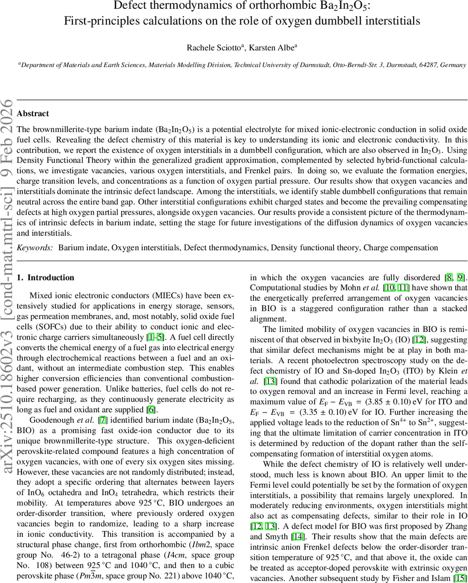 ECG-IMN: Interpretable Mesomorphic Neural Networks for 12-Lead Electrocardiogram Interpretation