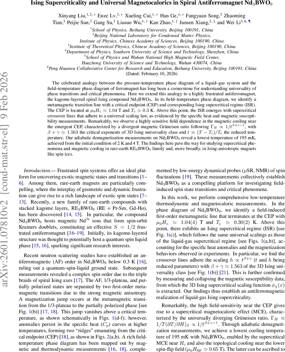Area Scaling of Dynamical Degrees of Freedom in Regularised Scalar Field Theory