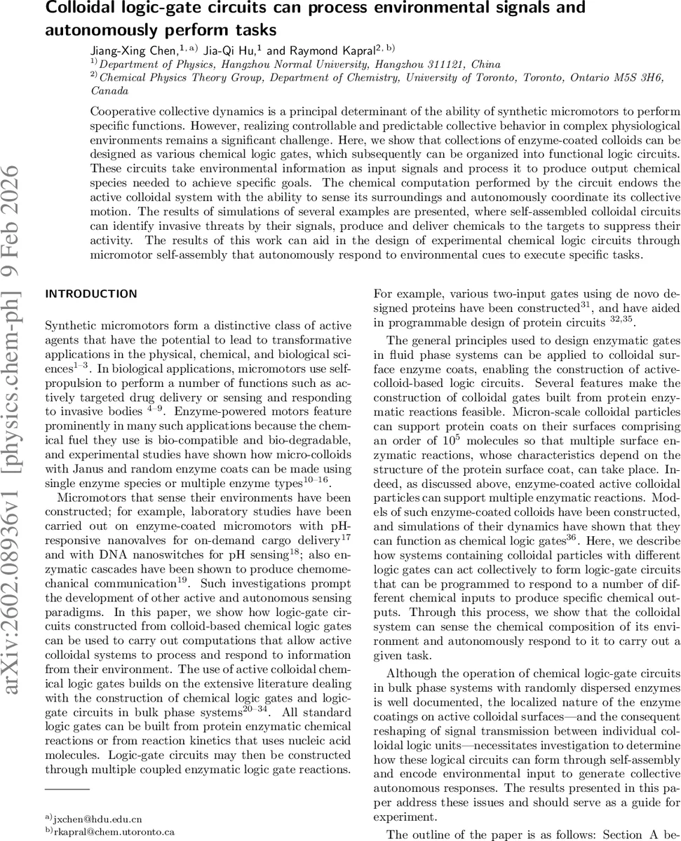 RIS-Assisted Rank Enhancement With Commodity WiFi Transceivers: Real-World Experiments