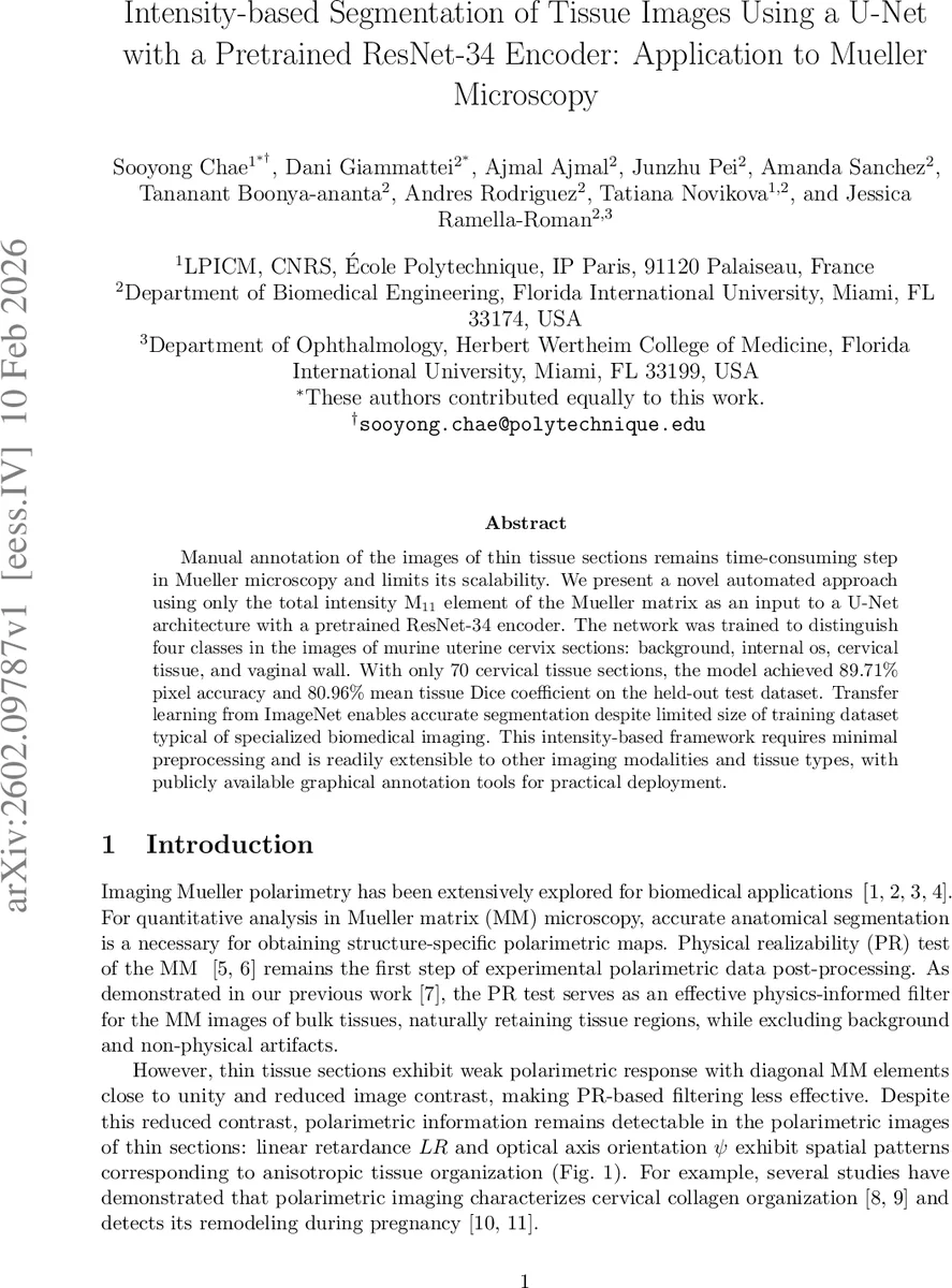 Intensity-based Segmentation of Tissue Images Using a U-Net with a Pretrained ResNet-34 Encoder: Application to Mueller Microscopy