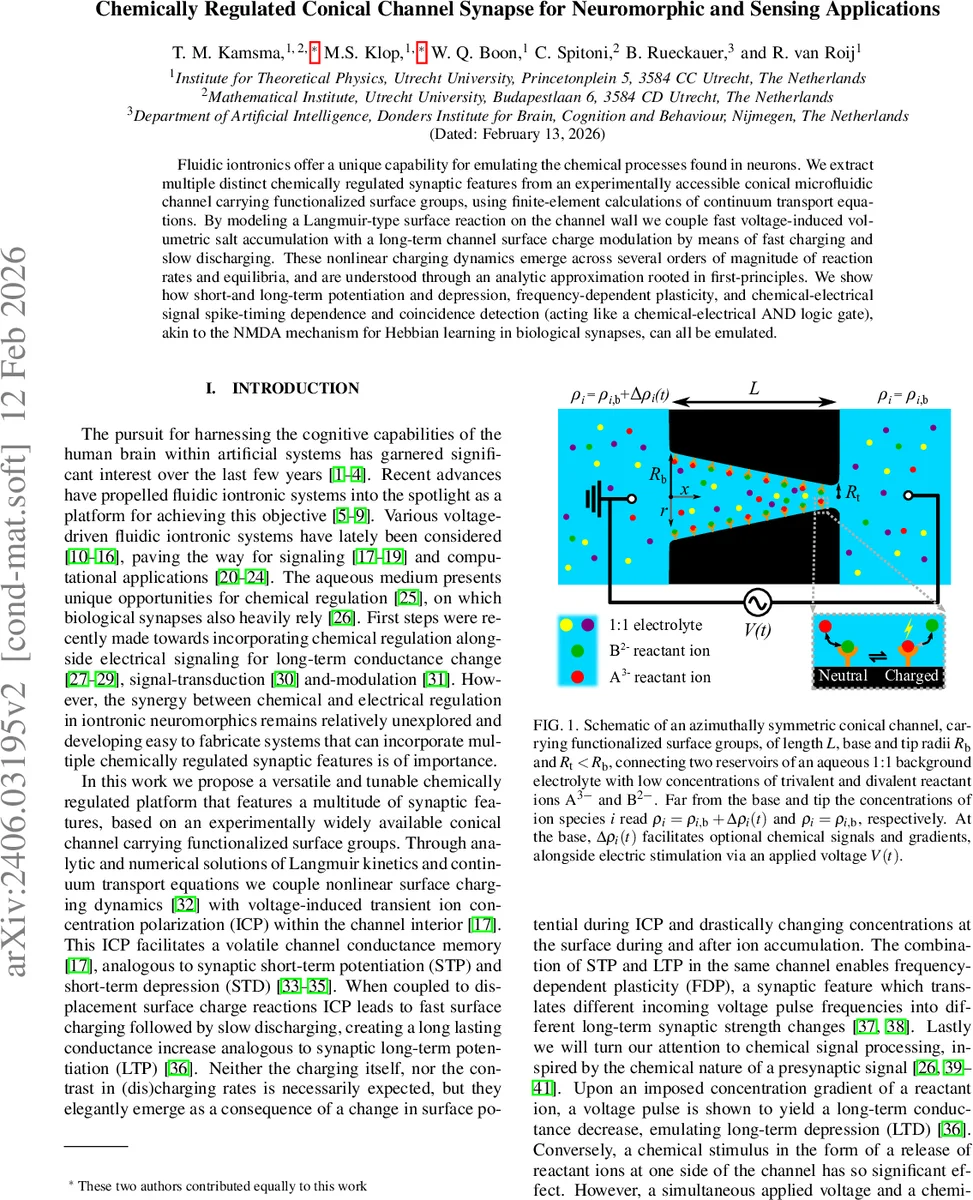 StreamFusion: Scalable Sequence Parallelism for Distributed Inference of Diffusion Transformers on GPUs