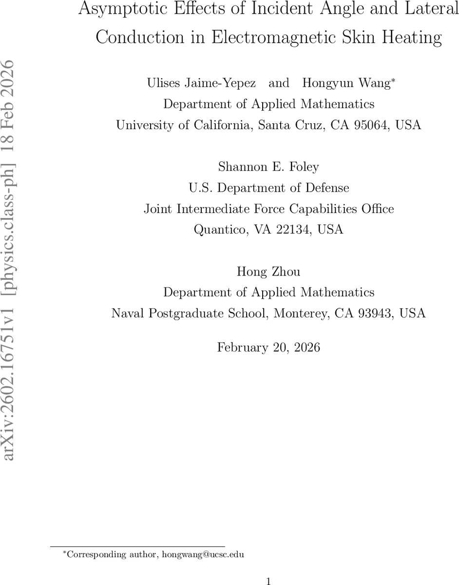 Maximal Cohen-Macaulay DG-complexes