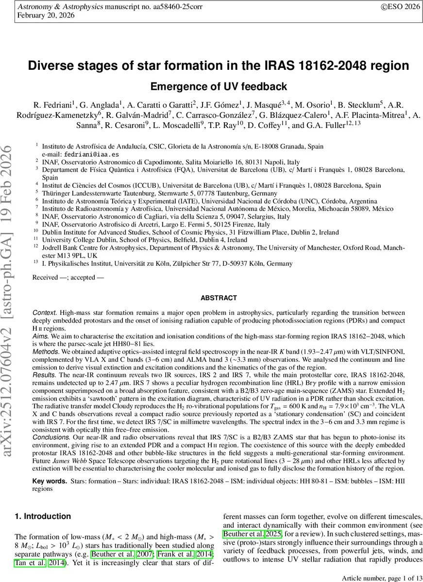 Digital self-Efficacy as a foundation for a generative AI usage framework in faculty's professional practices