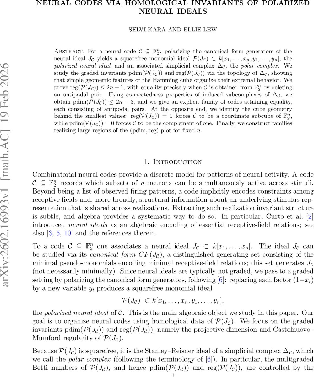 Neural codes via homological invariants of polarized neural ideals