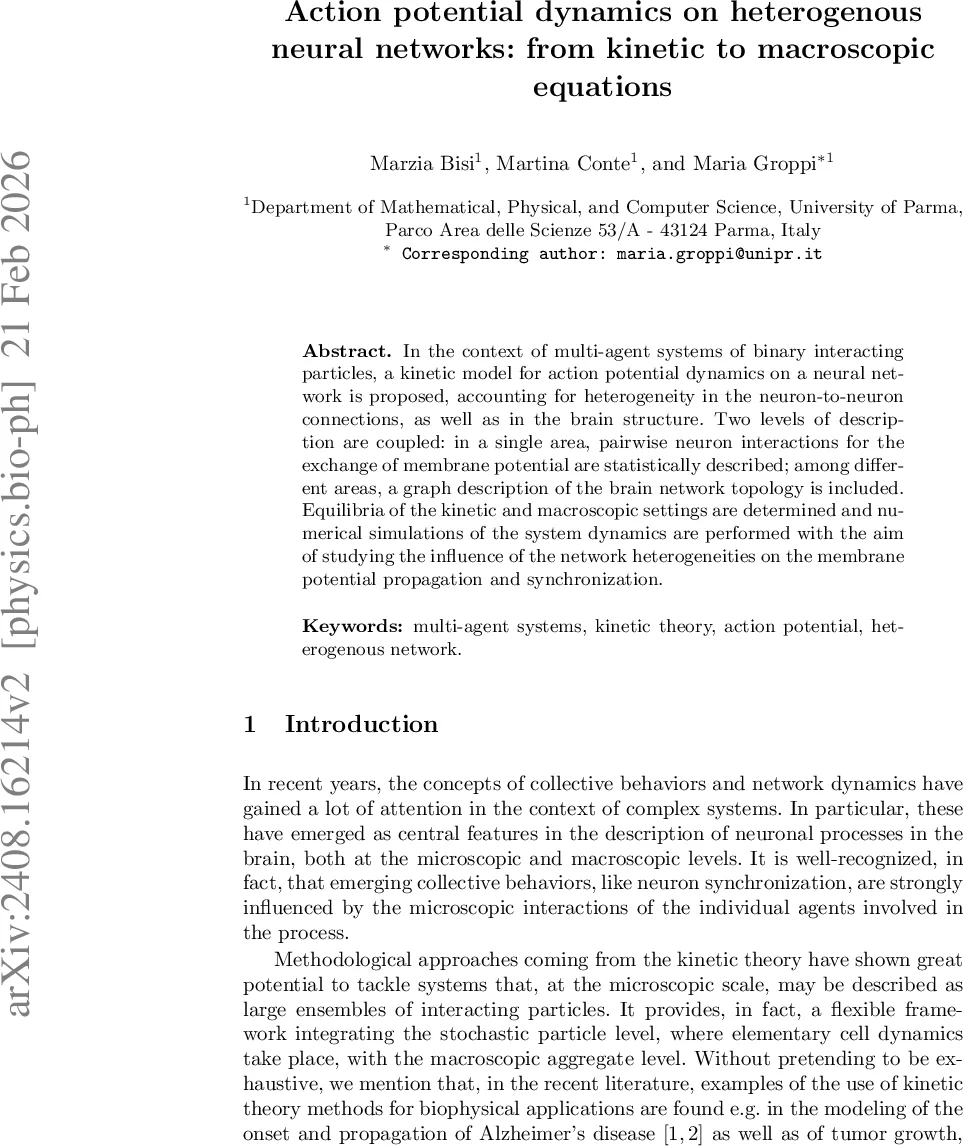 Action potential dynamics on heterogenous neural networks: from kinetic to macroscopic equations