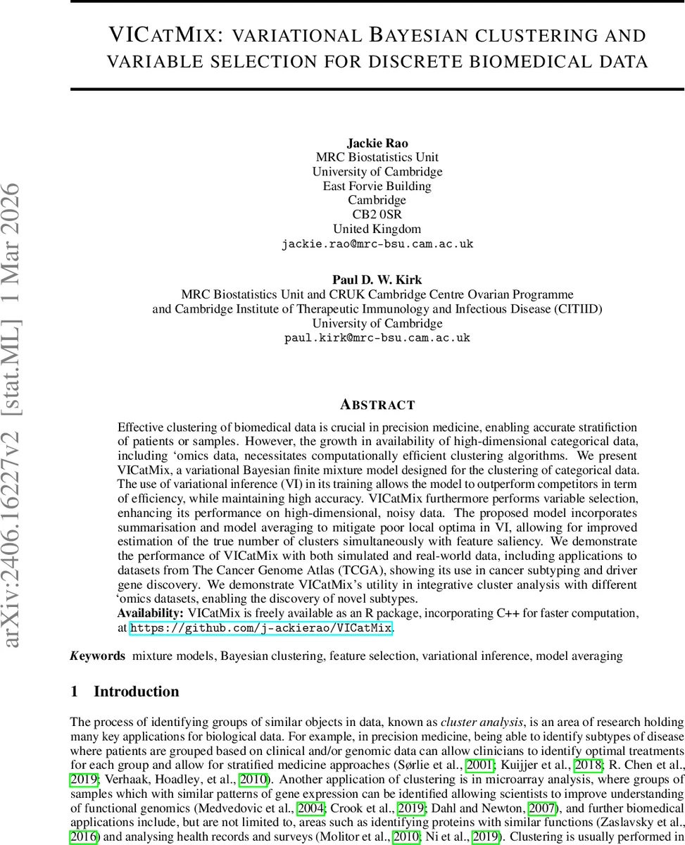 VICatMix: variational Bayesian clustering and variable selection for discrete biomedical data