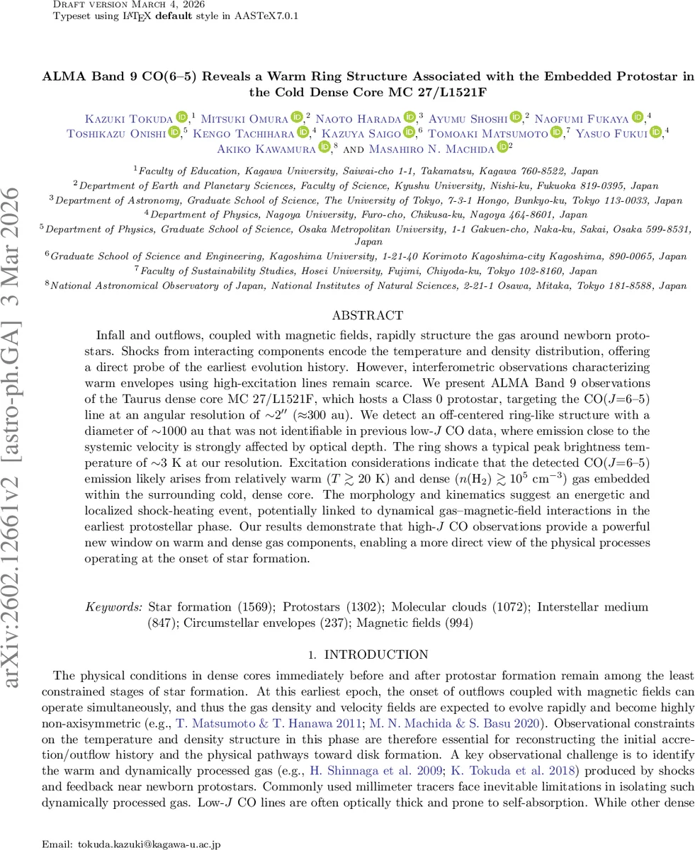 Low-Complexity Statistically Robust Precoder/Detector Computation for   Massive MIMO Systems
