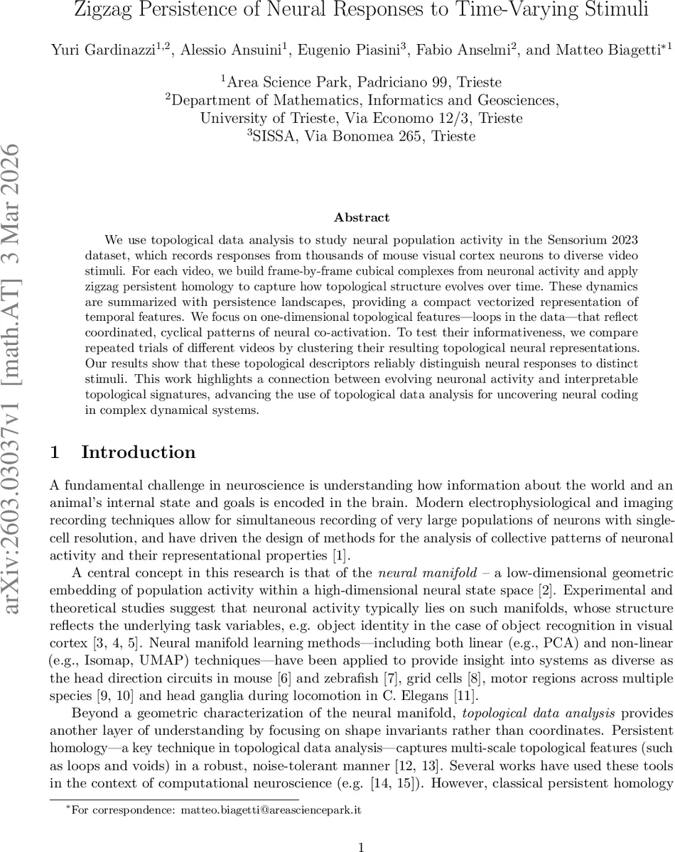 Zigzag Persistence of Neural Responses to Time-Varying Stimuli