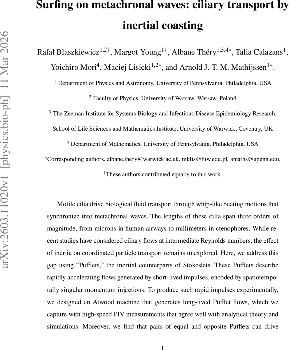 Searching for HWW Anomalous Couplings with Simulation-Based Inference
