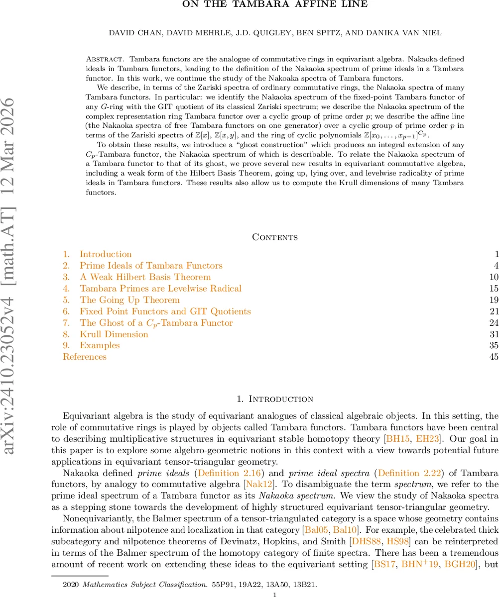 On the Tambara Affine Line