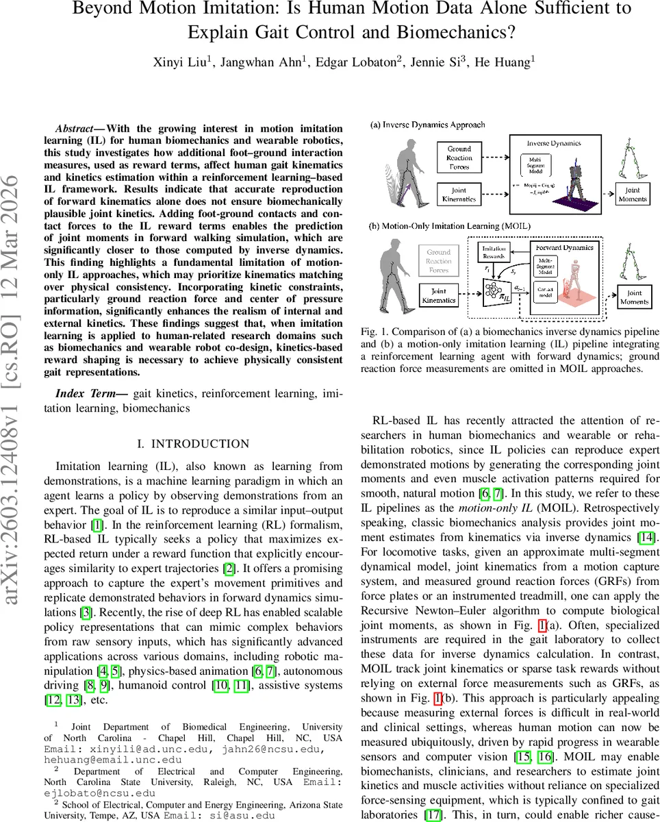 Beyond Motion Imitation: Is Human Motion Data Alone Sufficient to Explain Gait Control and Biomechanics?