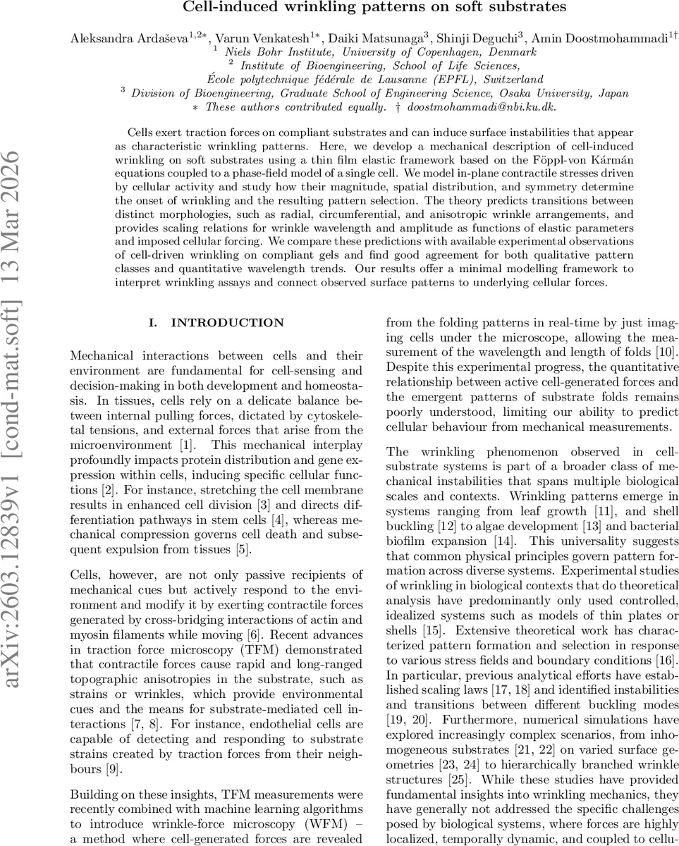 Comparison of Support Vector Machine and Back Propagation Neural Network   in Evaluating the Enterprise Financial Distress