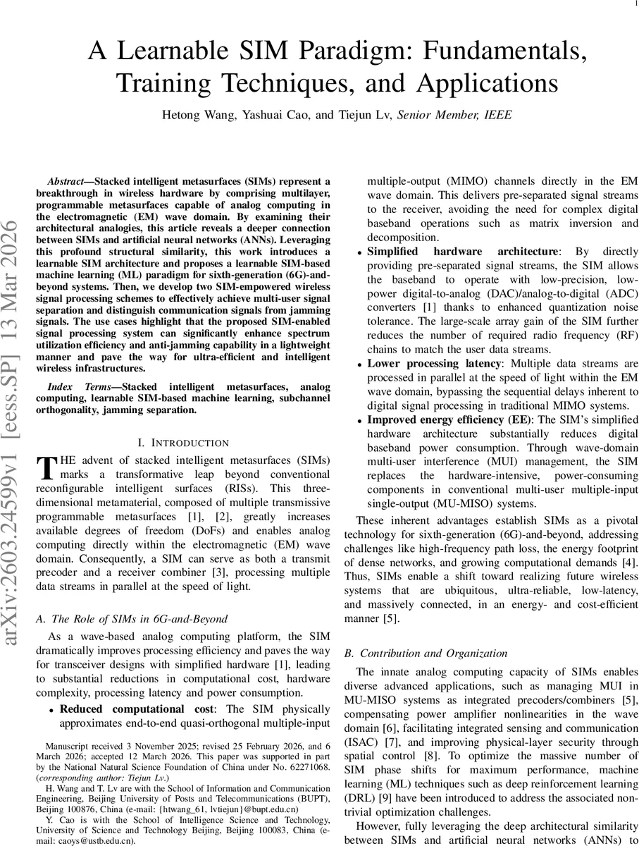 A Learnable SIM Paradigm: Fundamentals, Training Techniques, and Applications
