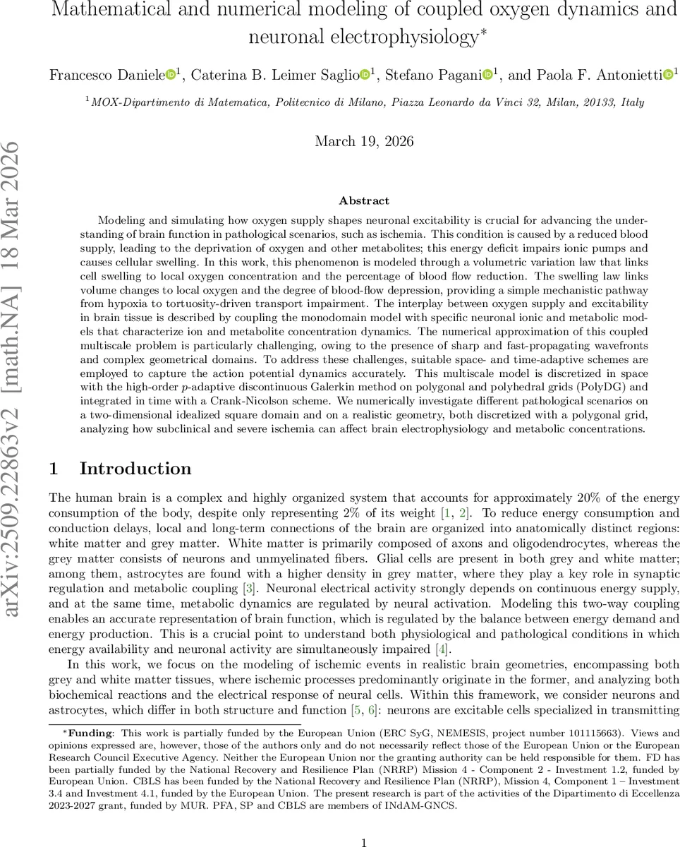 An Investigation into the Use of Common Libraries in Android Apps