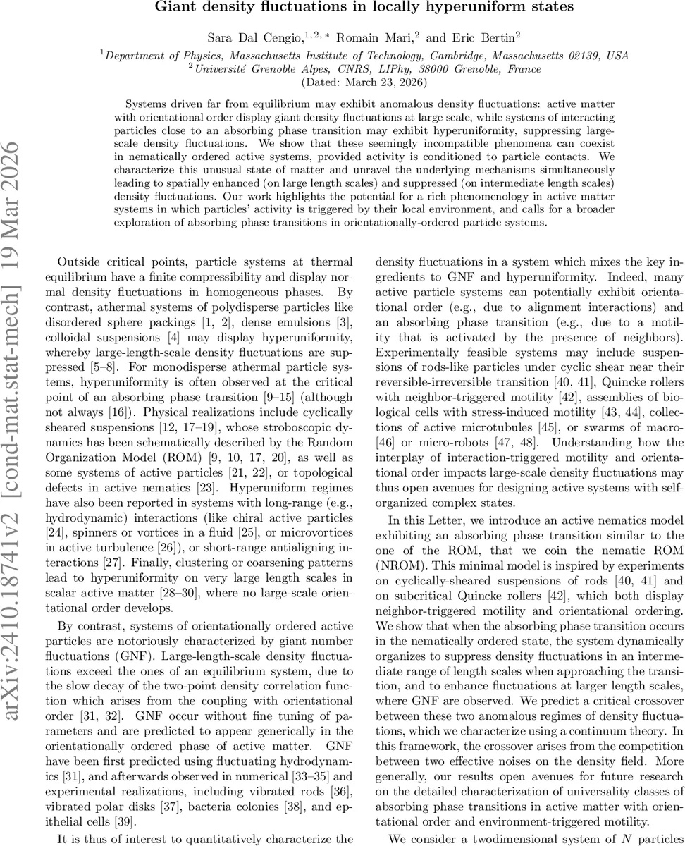 Giant density fluctuations in locally hyperuniform states