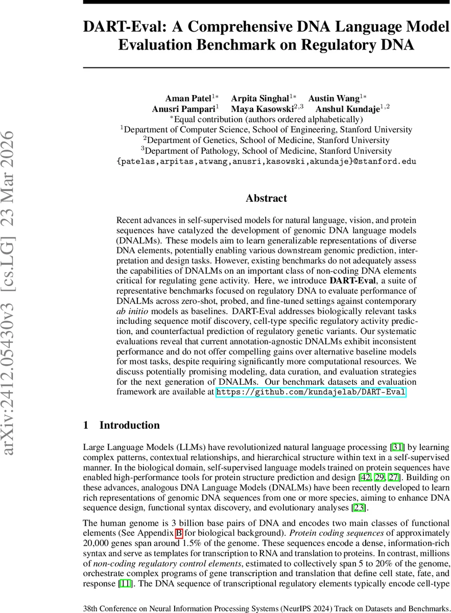 A family of polynomials and related congruences and series