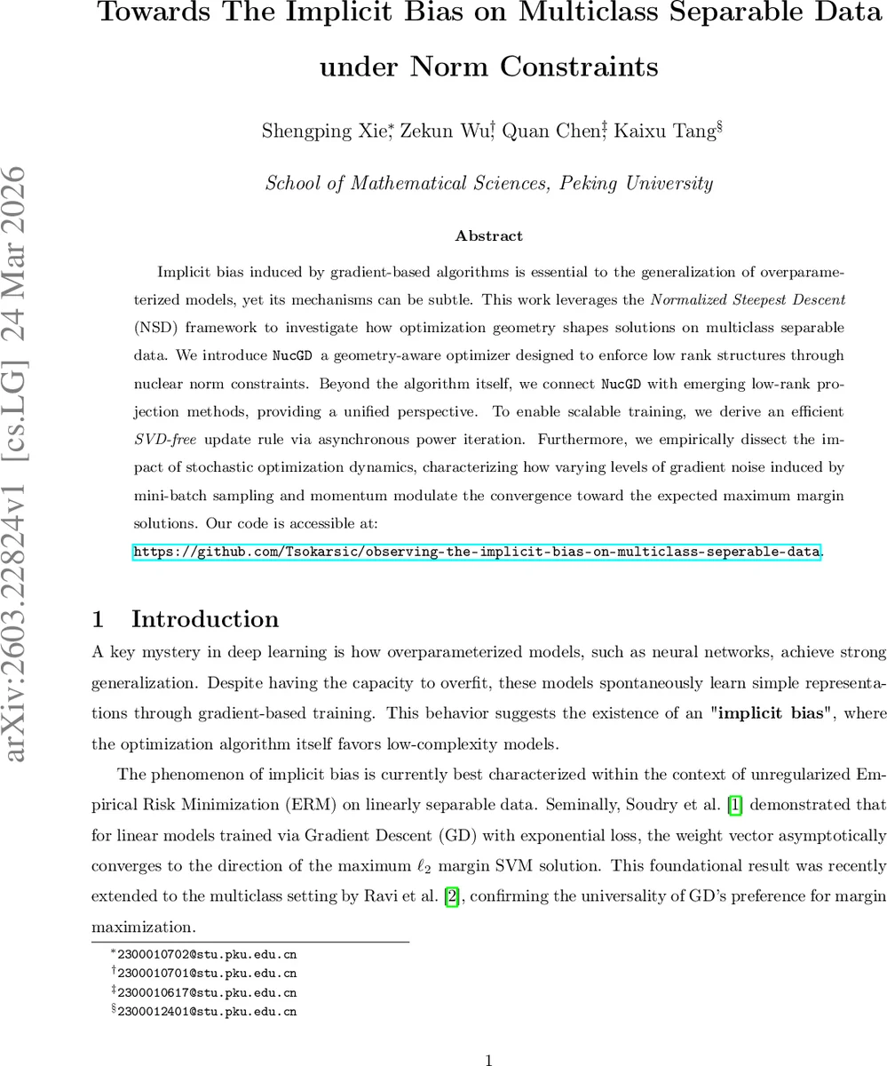 Towards The Implicit Bias on Multiclass Separable Data Under Norm Constraints