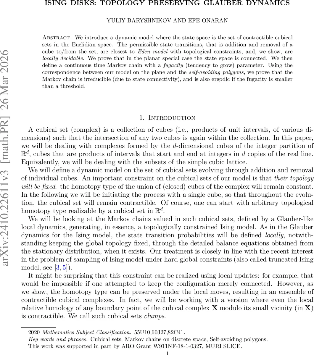 Ising Disks: Topology Preserving Glauber Dynamics