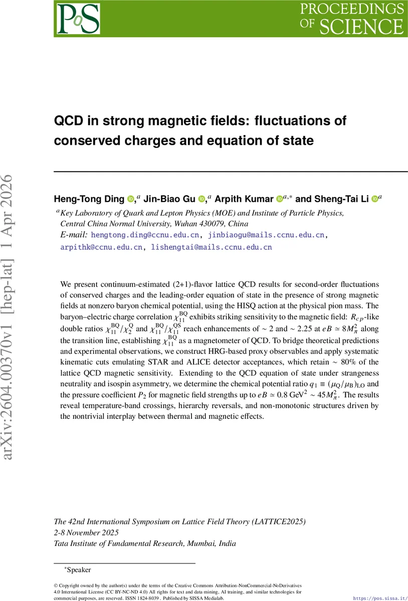Primordial black holes as cosmic accelerators of light dark matter: Novel direct detection constraints