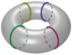 torus-four-curves.png
