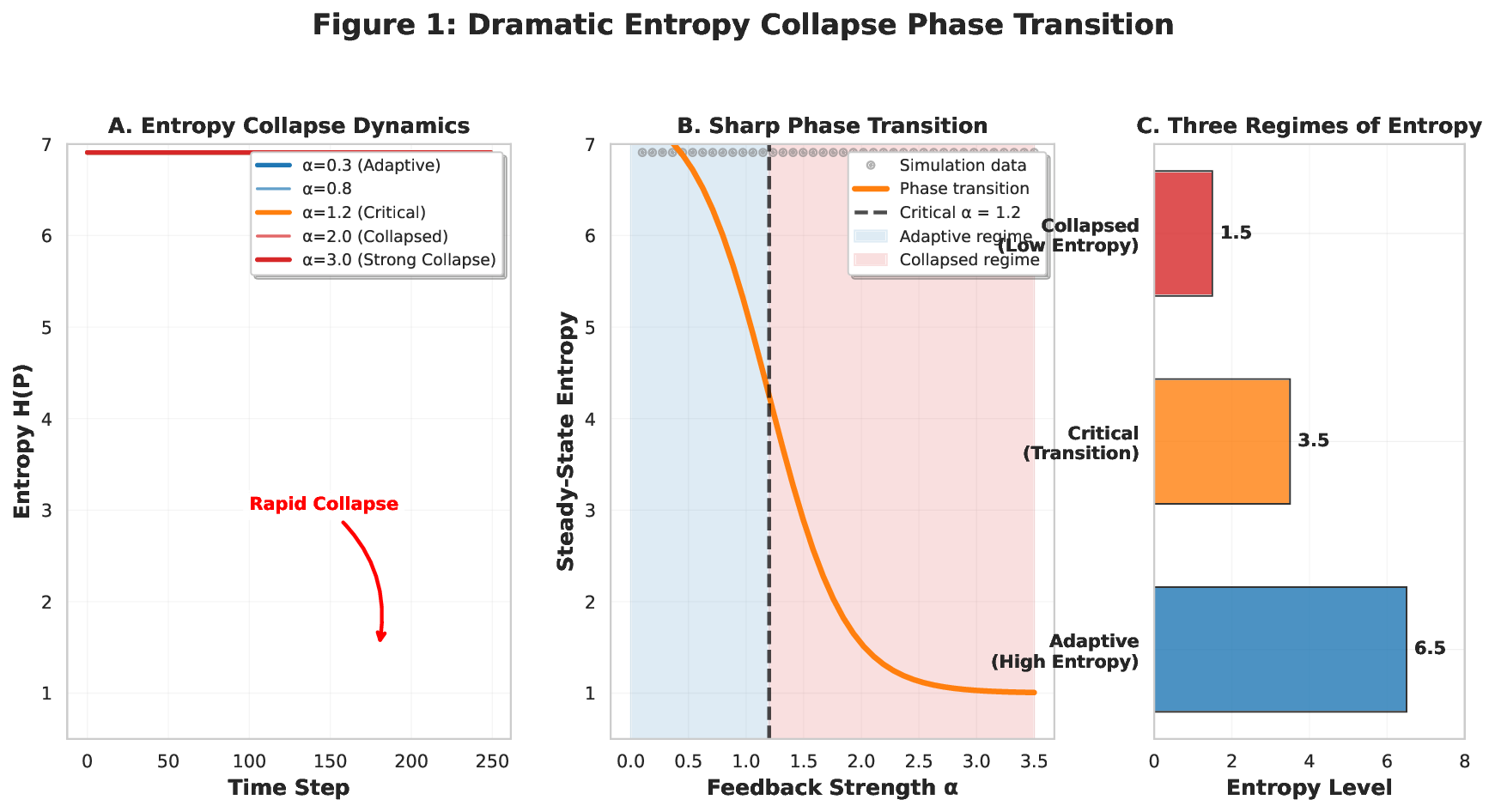 Entropy Collapse: A Universal Failure Mode of Intelligent Systems
