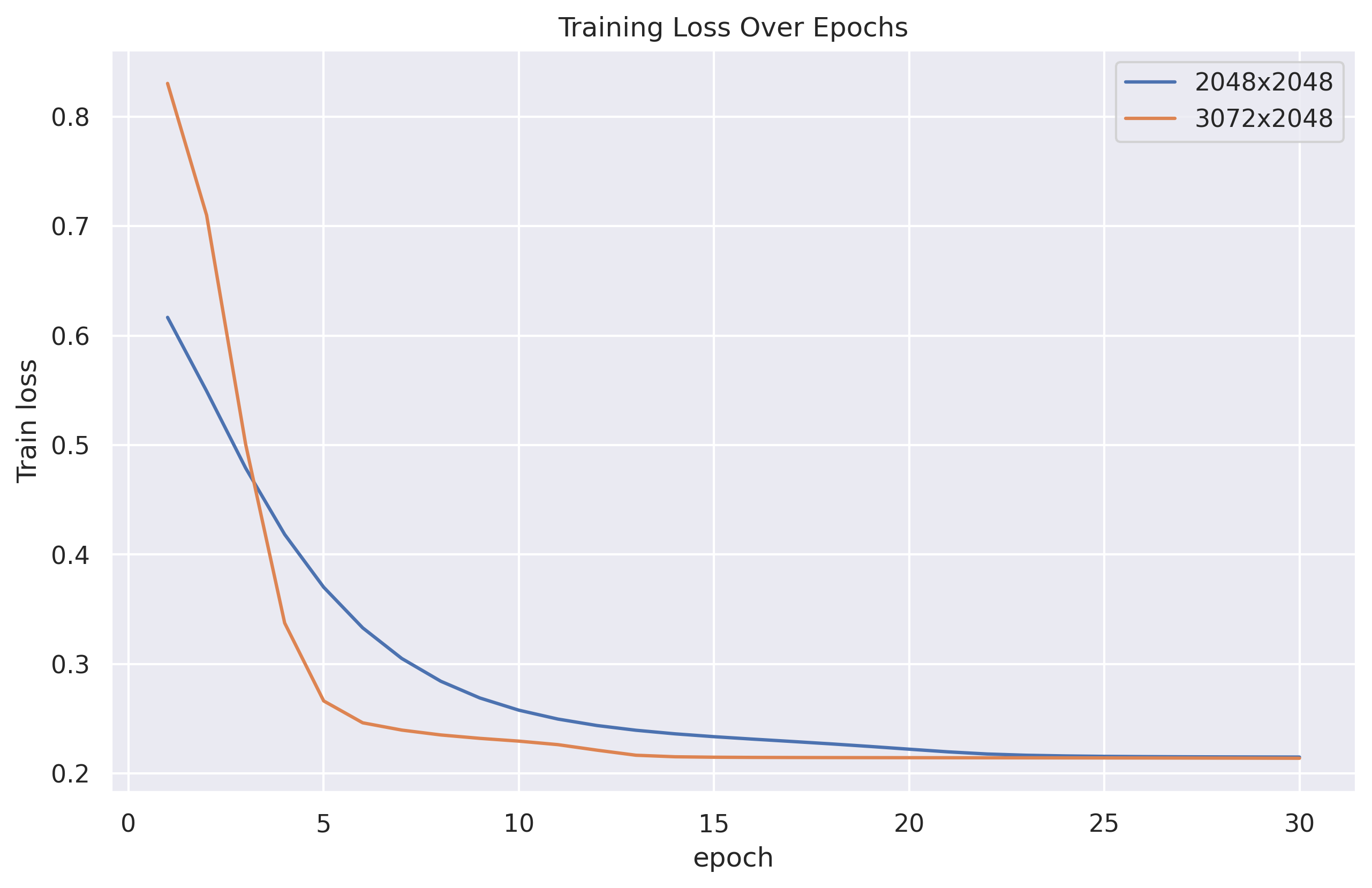 Zero-Shot Segmentation through Prototype-Guidance for Multi-Label Plant Species Identification
