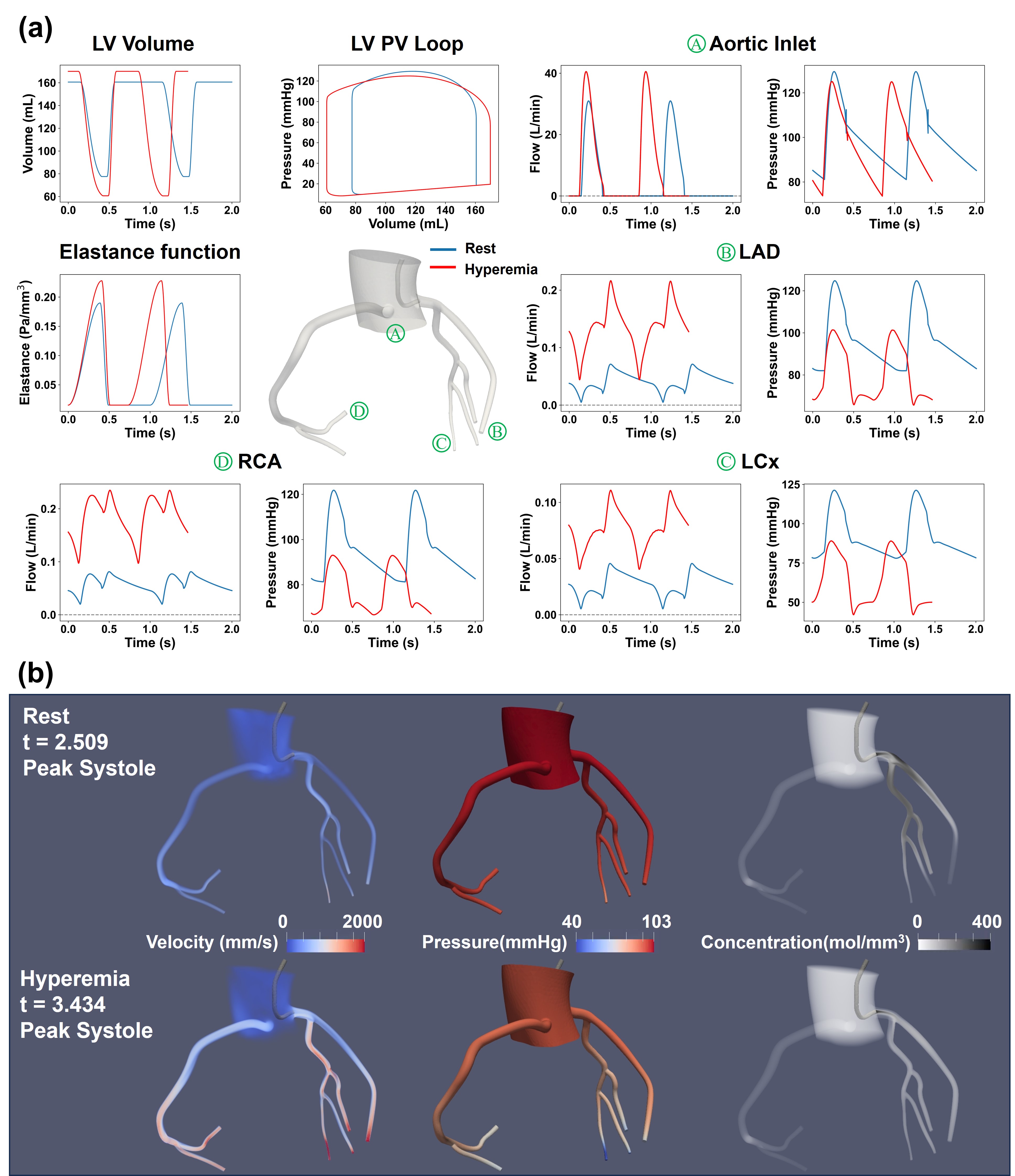 Assessing Coronary Microvascular Dysfunction using Angiography-based Data-driven Methods