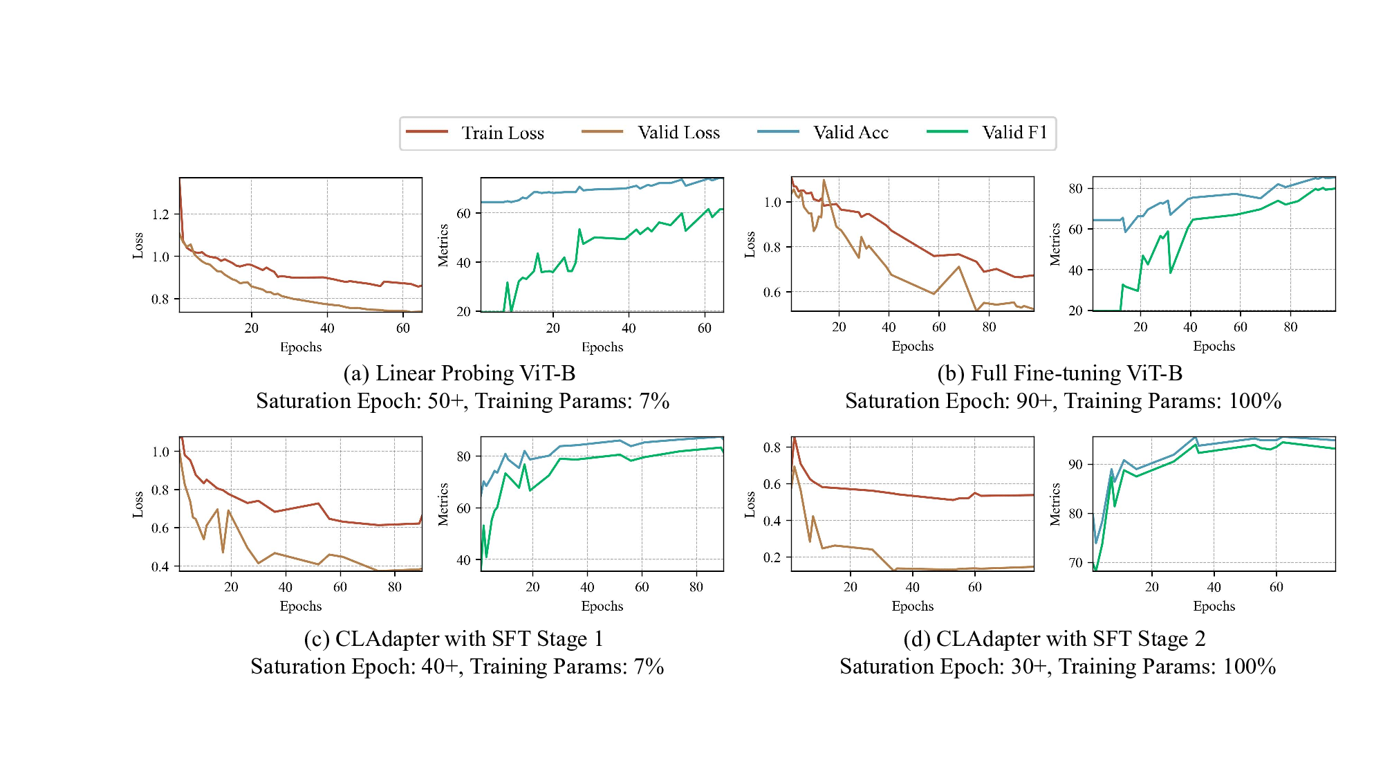 Unleashing Foundation Vision Models: Adaptive Transfer for Diverse Data-Limited Scientific Domains