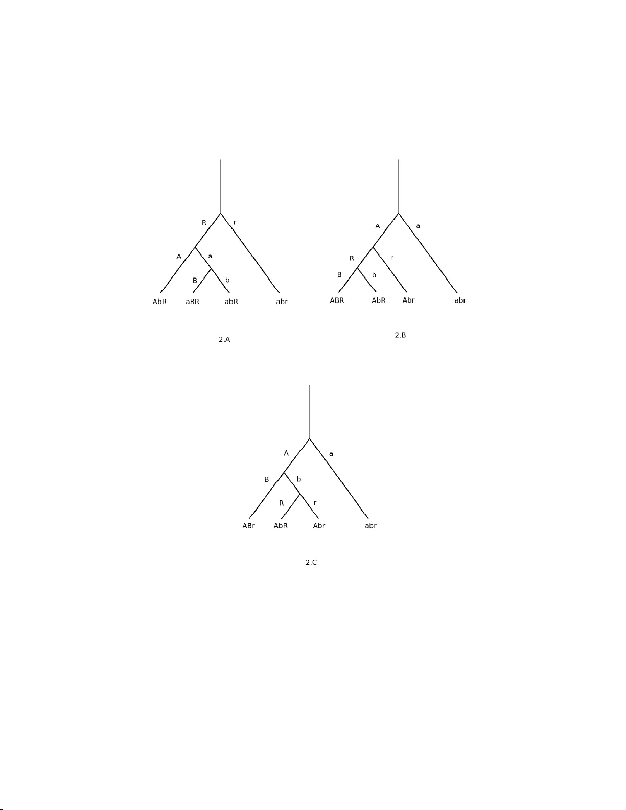 An efficient strategy to characterize alleles and complex haplotypes   using DNA-markers