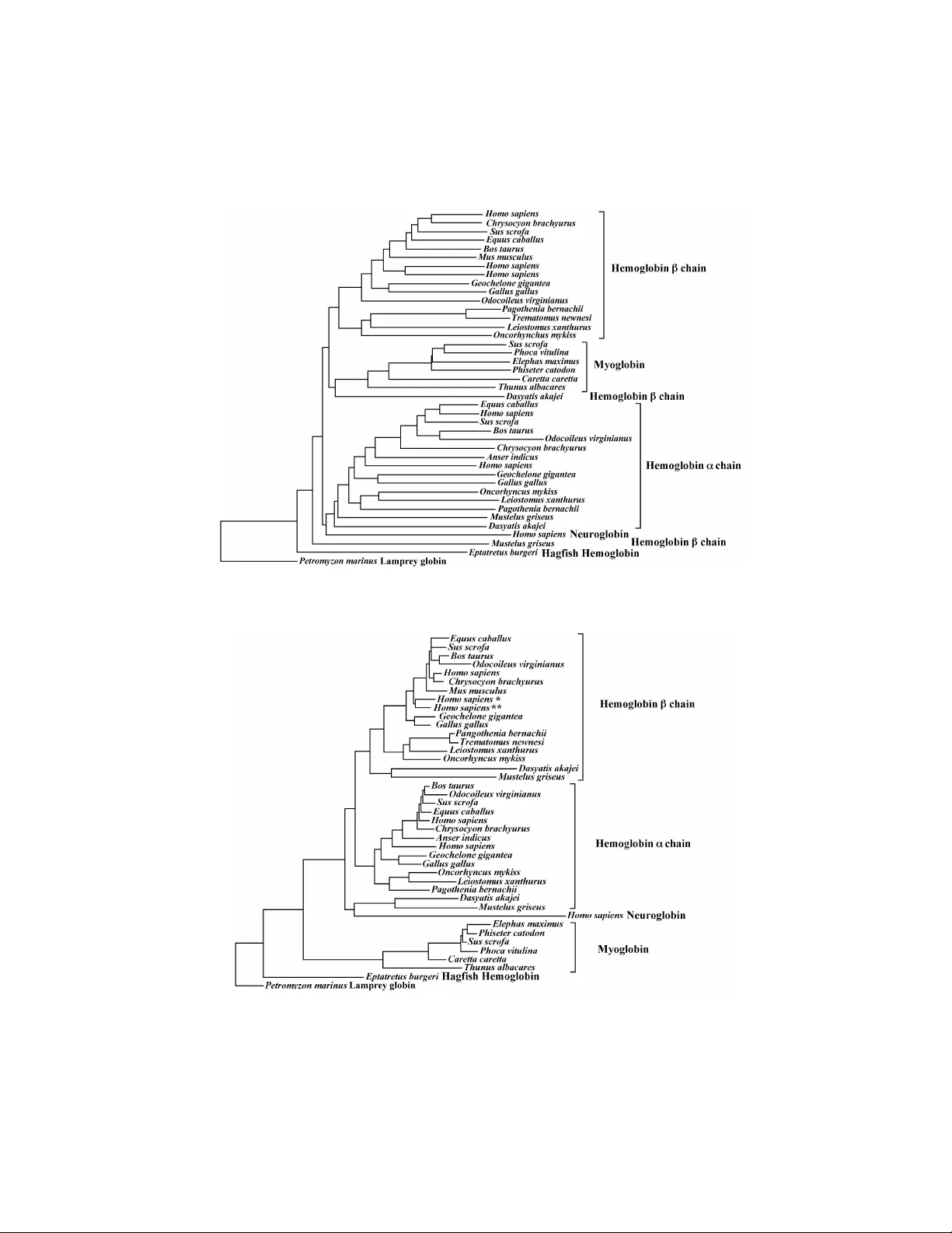 Detecting phylogenetic relations out from sparse context trees
