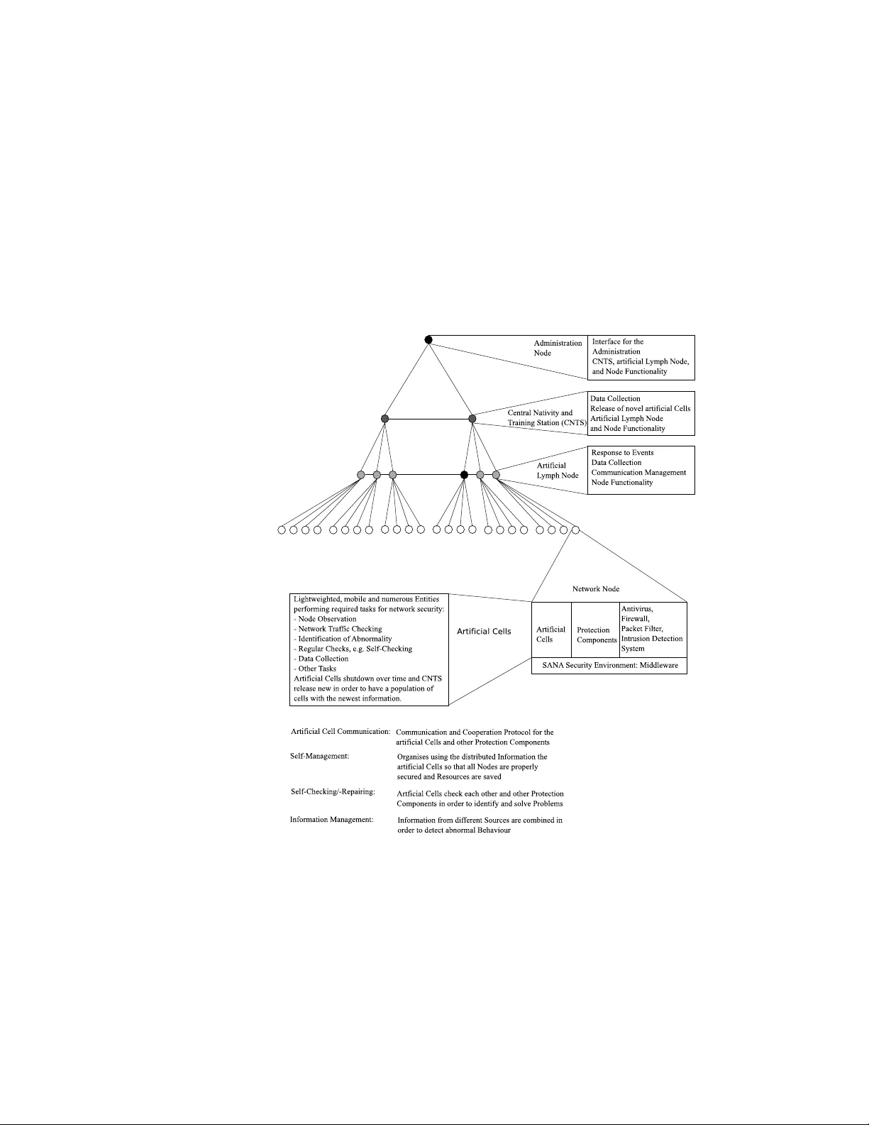 A Network Protection Framework through Artificial Immunity